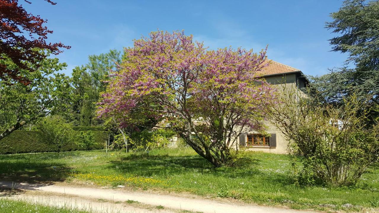 B&B Des Histoires D'Anges - Cote Jardin - Accueil Velo Tournus Zewnętrze zdjęcie